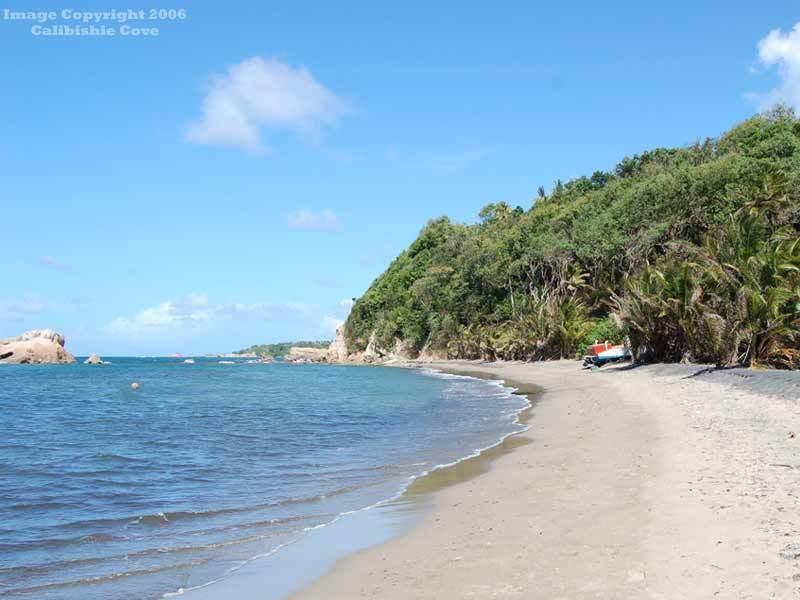 Calibishie Cove Facilidades foto